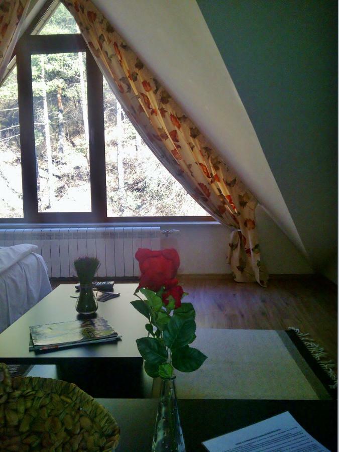 Vila Rila Samokov Exterior photo